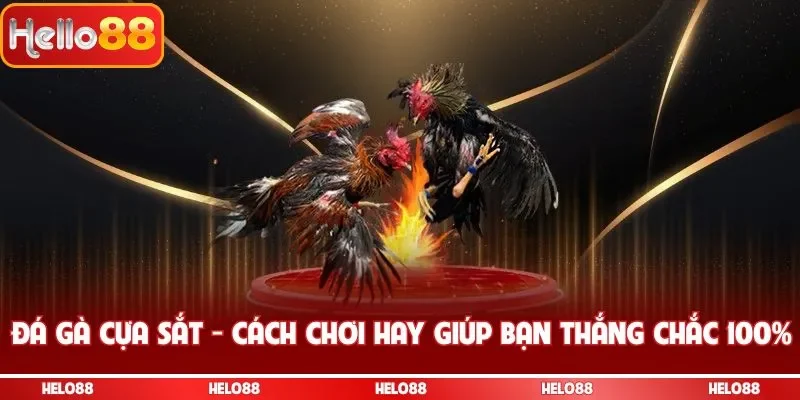 đá gà cựa sắt