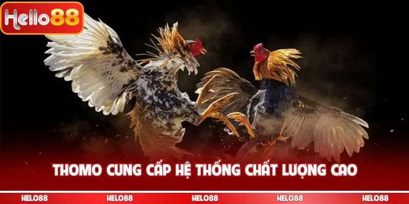 Thomo cung cấp hệ thống chất lượng cao