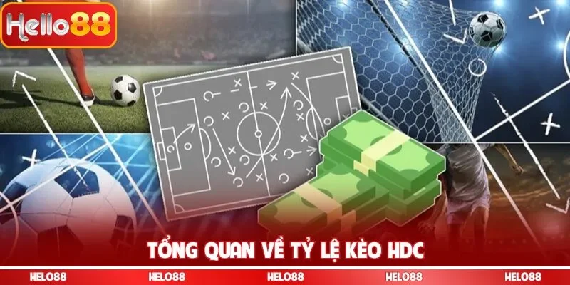 Tổng quan về tỷ lệ kèo HDC